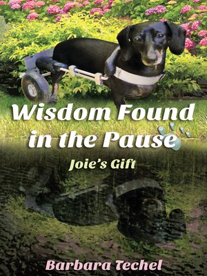 cover image of Wisdom Found In the Pause